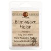 Blue Agave Melon Wax Melt Kokopelli Candle Co.