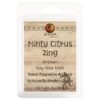 Minty Citrus Zing Wax Melt Kokopelli Candle Co.