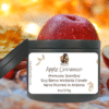 Apple Cinnamon Wickless Candle