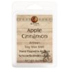 Apple Cinnamon Wax Melt Kokopelli Candle Co.