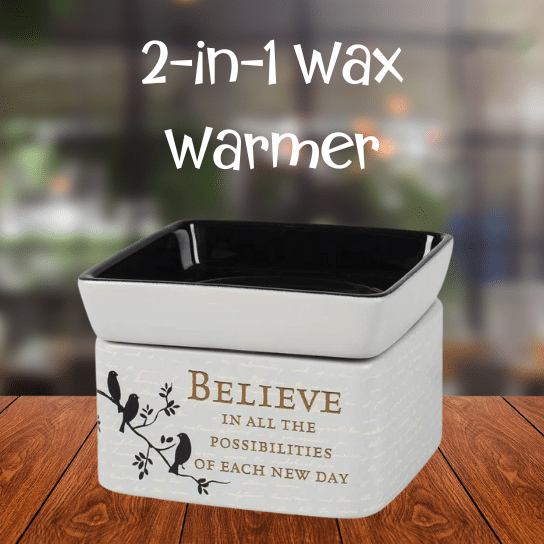 2n1 Wax WarmerMelter