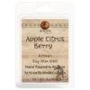 Apple Citrus Berry Wax Melt Kokopelli Candle Co.