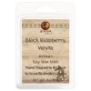 Black Raspberry Vanilla Wax Melt Kokopelli Candle Co.
