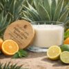 Agave Citrus Sunshine 12oz Candle Kokopelli Candle Co.