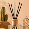 Reed diffuser and hanging car diffuser displayed in a warm Arizona-inspired setting with desert cacti and natural wood accents